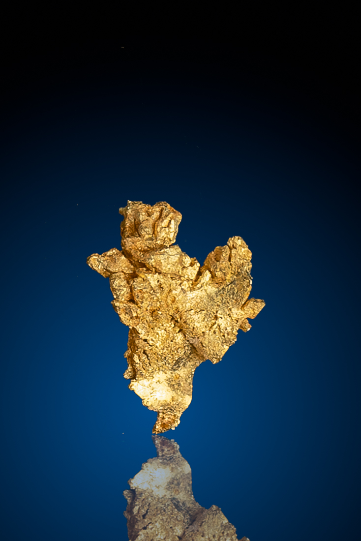 (image for) Intricate Leaf Gold from the Round Mountain Gold Mine, NV - 0.22 grams